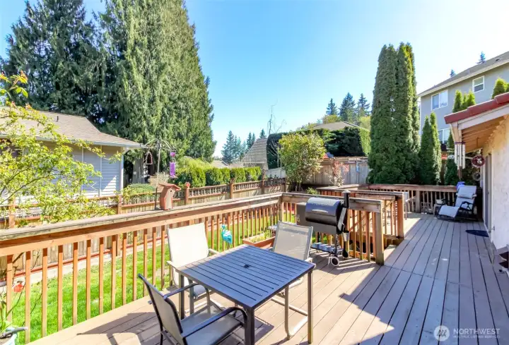 Spacious rear deck for all your entertainment needs