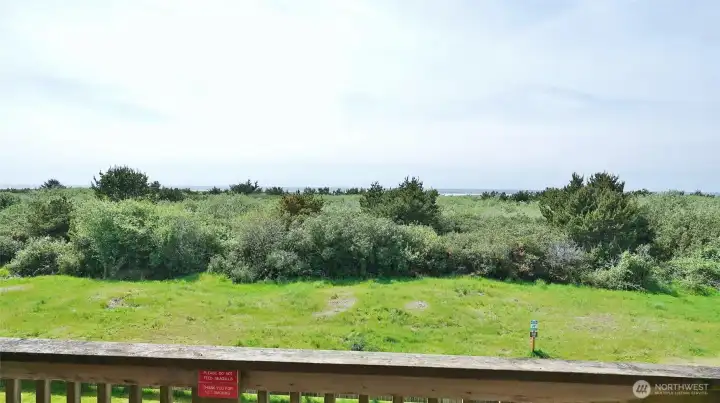 West view from the Deck.