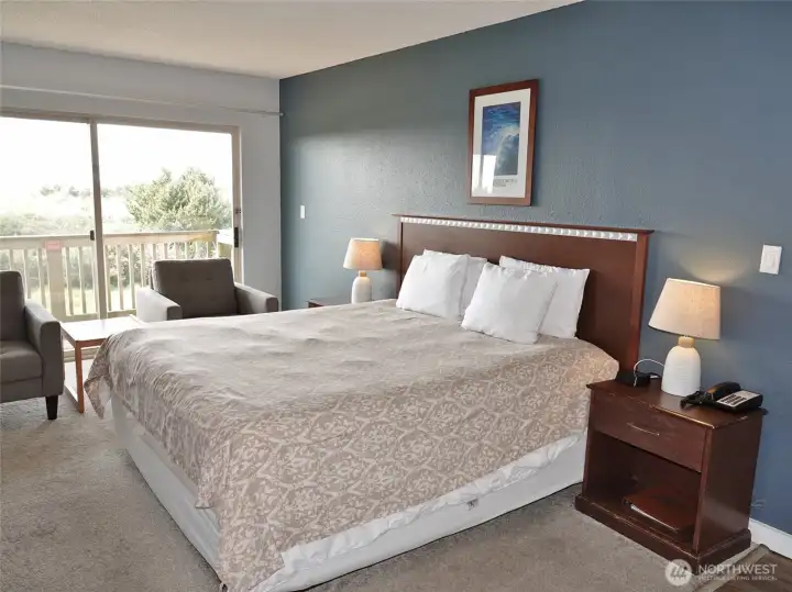 Studio unit w/ king-sized bed.