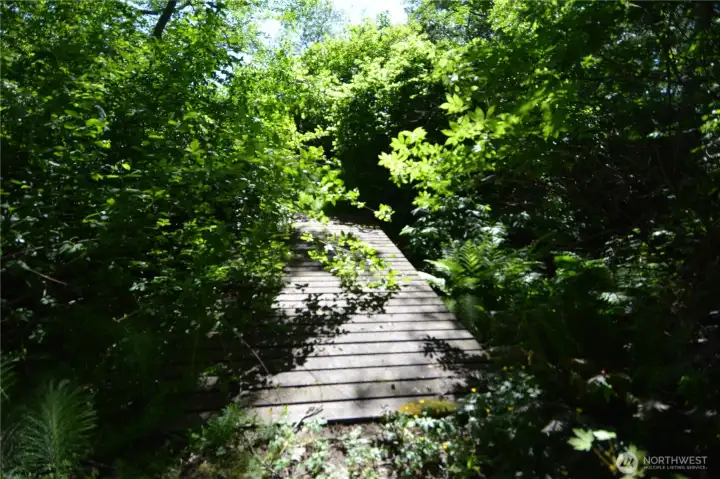 Bridge