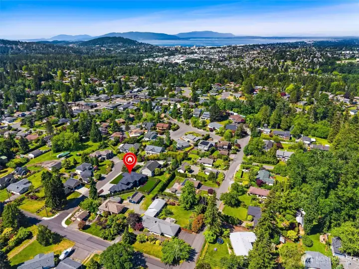 Aerial view showcases the home's premier location within a highly sought-after neighborhood, surrounded by quality homes, mature landscaping, and convenient access to local amenities.