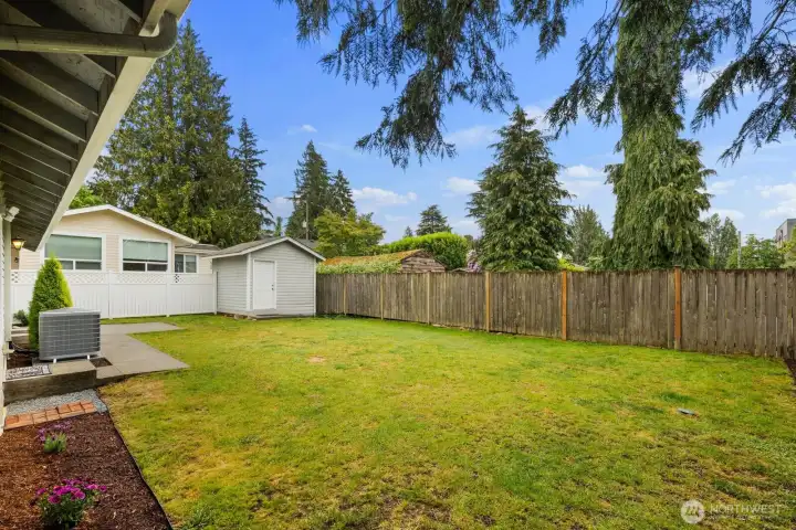 Back Yard