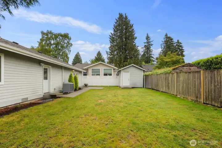 Back Yard