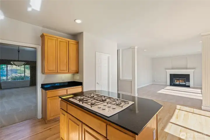 Open Concept kitchen with Thermador Appliances Open Concept kitchen with Thermador Appliances