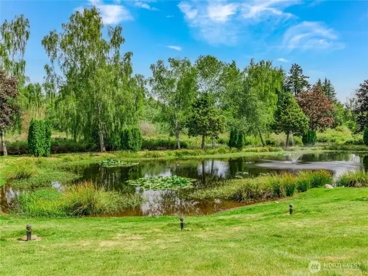 Park Pond Park Pond