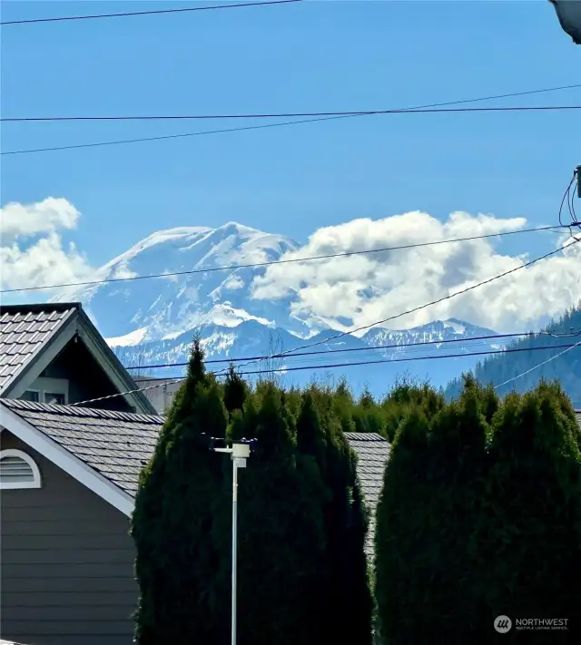 Beautiful Mt Rainier View