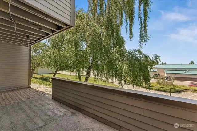 Covered back porch