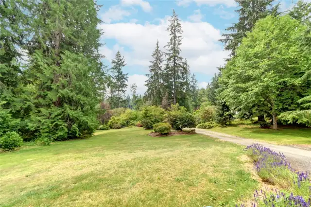 View from your front porch. Driveway to the right.