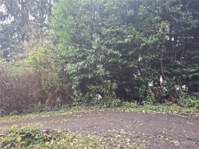 View from easement road to the proposed build site