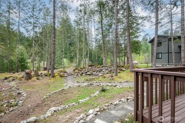 Back yard