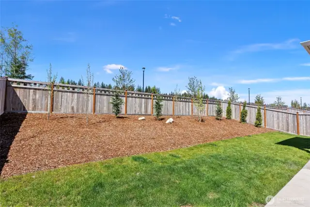 New Trees!