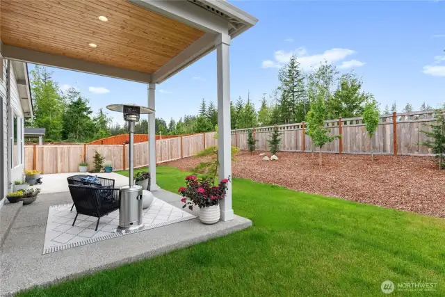 Big Backyard