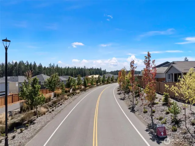 Tree Lined Streets + Miles of Walking Paths & Forest Trails
