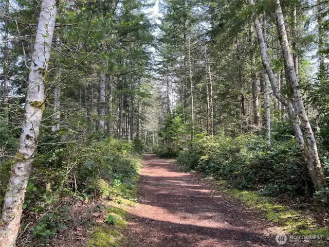 Miles of forest trails and adventures!