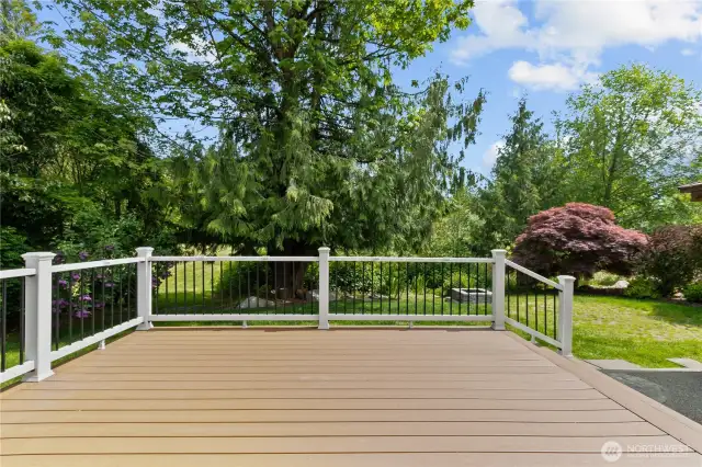 Gorgeous Trex deck