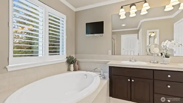 5 piece bathroom retreat with a soaking tub and HUGE walk in closet