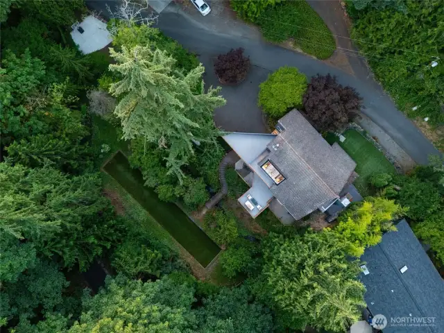 This expansive lot includes two large turf areas, a basketball court / parking pad, and ample parking space.