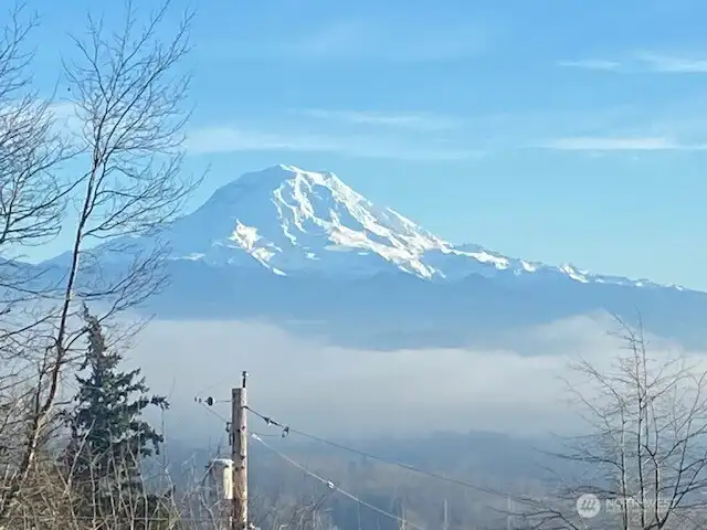 It looks even better relaxing with your morning cup of coffee!