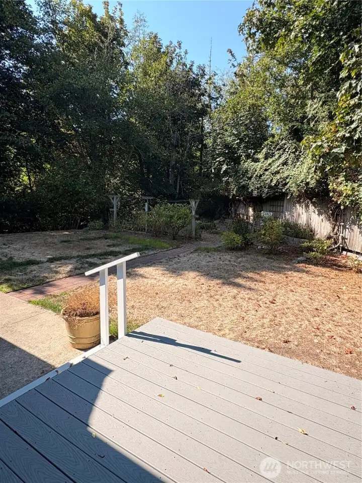 deck in back