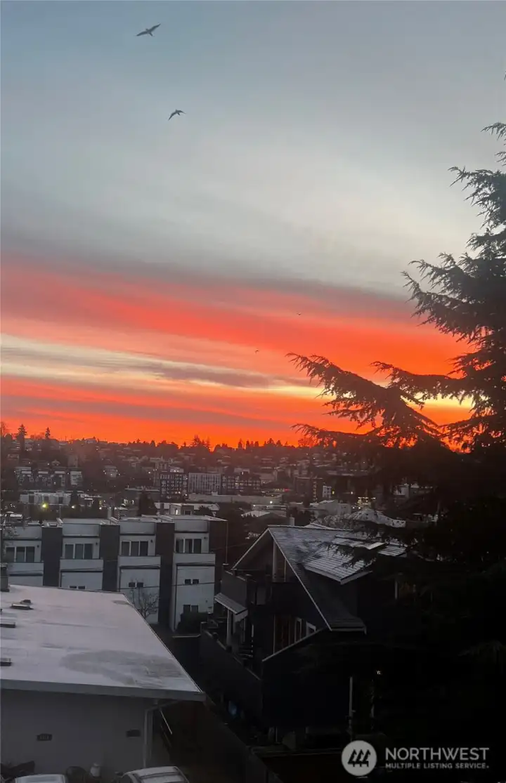 Views from Roof top deck
