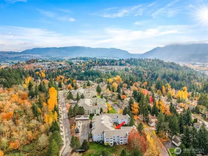 Peaceful rear location overlooking the beautifully landscaped common area.
