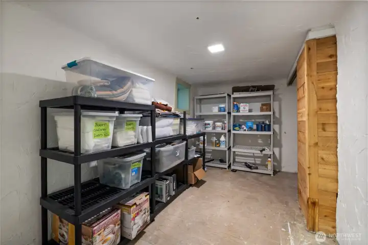 Tons of storage/work space in basement