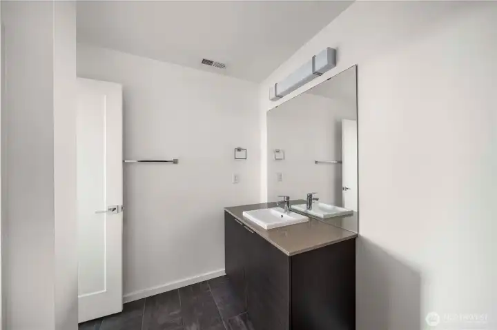 Lower level bathroom