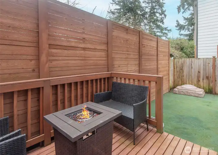 Maintenance free turf and fully fenced back yard.