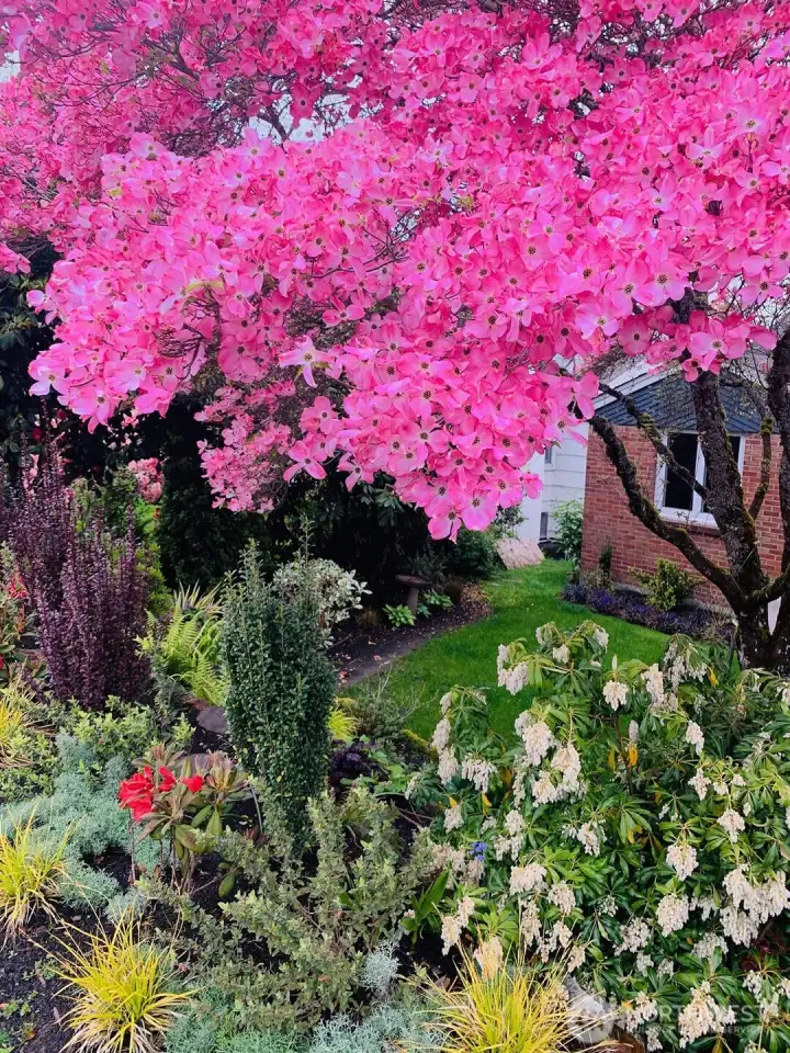 Taken last spring, this is what you have to look forward to!