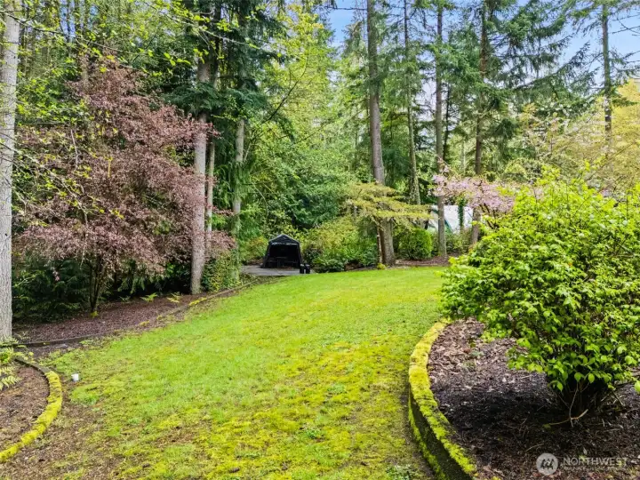 Backyard equipped ready for ADU with concrete slab.