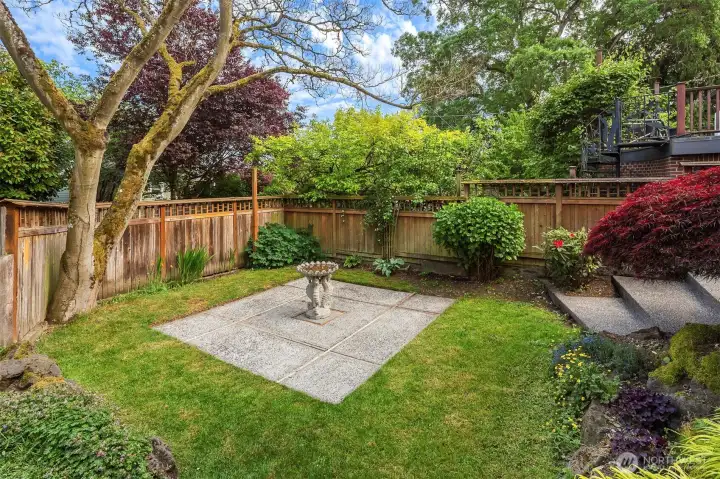 Backyard. Could be a great place for a firepit and some adirondack chairs to enjoy those late seattle summer evenings.