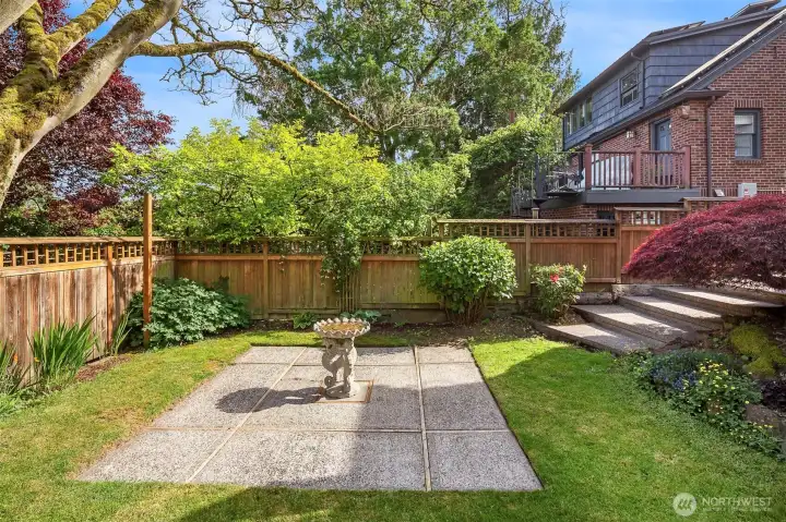 Backyard space. Lot is 3,700 square feet.