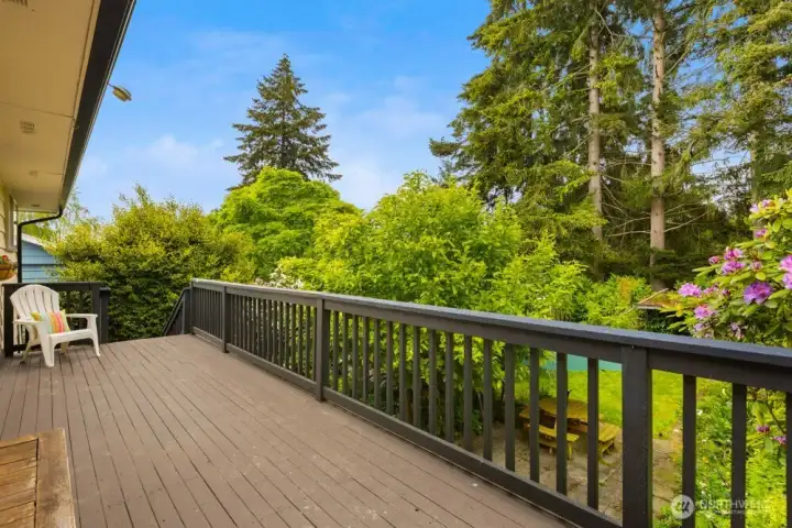 Deck off the dining room and kitchen