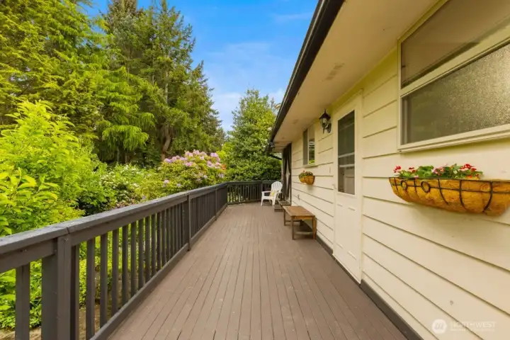 Large deck overlooking the backyard