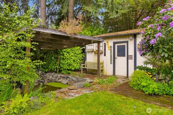 Shed and pond in the backyard