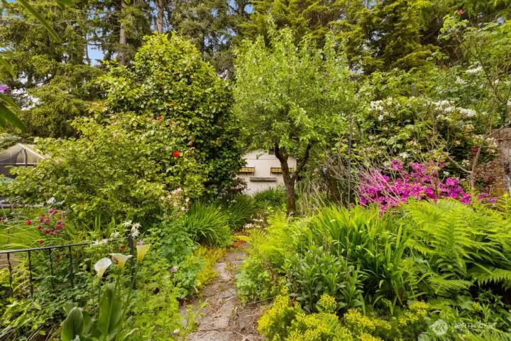 Backyard designed by a Master Gardener