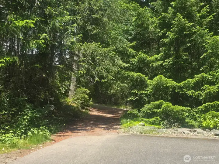 Hiking trail near entrance