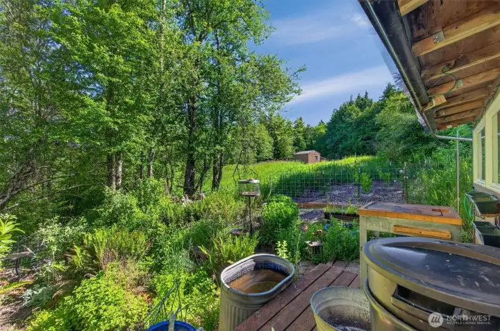 Herb garden
