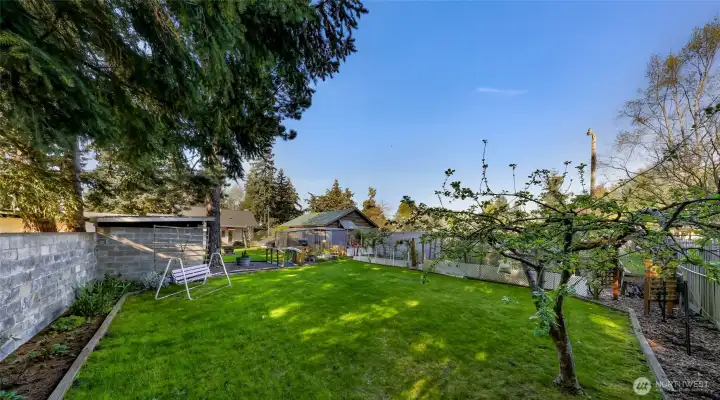 Huge back yard...enclosed Huge back yard...enclosed