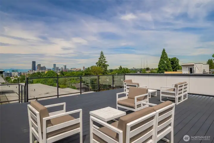 Roof Top Deck with Spectacular City and Olympic Mountain Views. Fantastic Sunsets from up here.