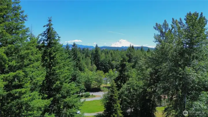 View of Mount Rainier, was visible before trees grew View of Mount Rainier, was visible before trees grew