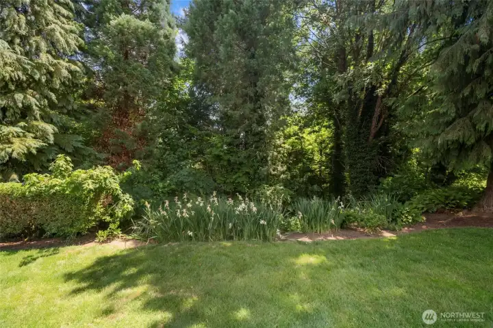 Backyard has seasonal view of the pond "kettle" when the foliage on trees arent so heavy