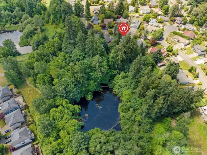 Access trails down to and around pond