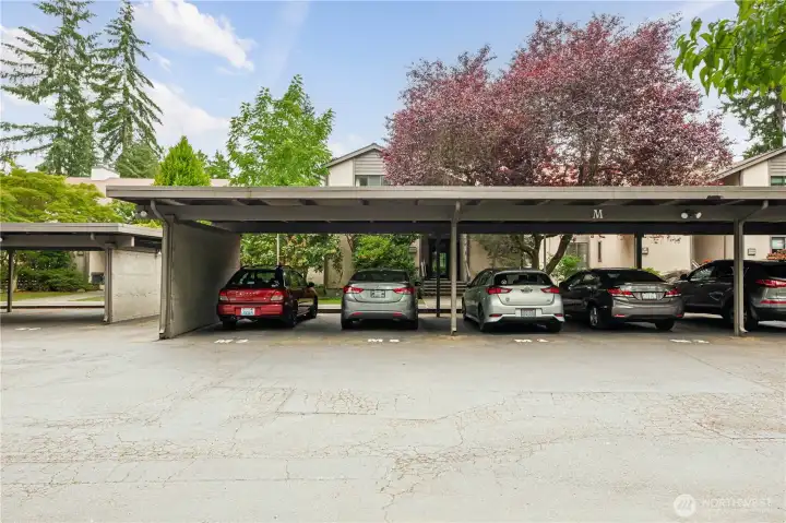 Covered Parking spot M-5