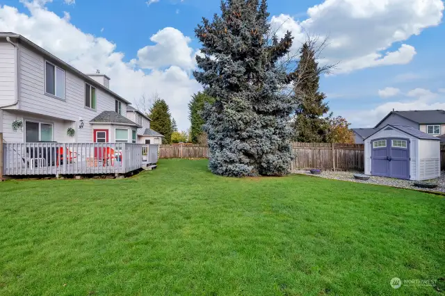 View of the yard shed on the gravel area in the back yard. Keep all your yard tools, lawn mower etc in secure place.