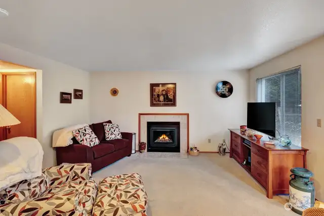 Warm and comfortable family room has gas fireplace for those chilly days. This home has a multitude of places for entertaining.
