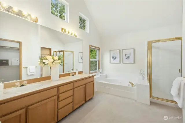 Lots of windows and a generous walk-in closet in this 5 piece bath.