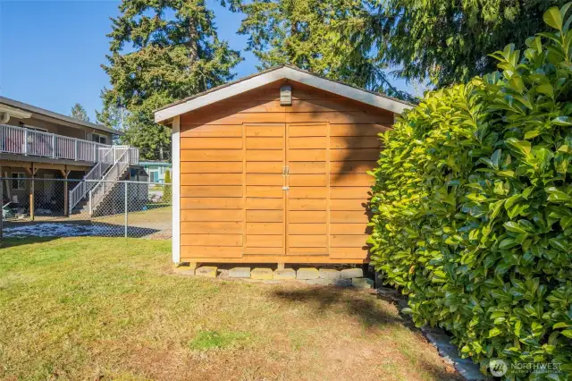 Storage Shed