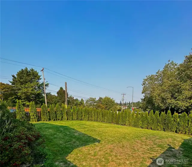 Spacious front yard