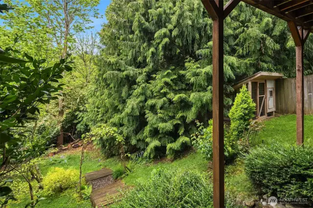East-facing front yard patio framed by mature trees and a private metal gate offers a peaceful entrance.